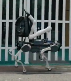 search and rescue robot